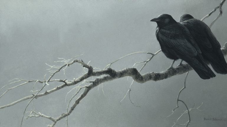 (c) Robert Bateman
