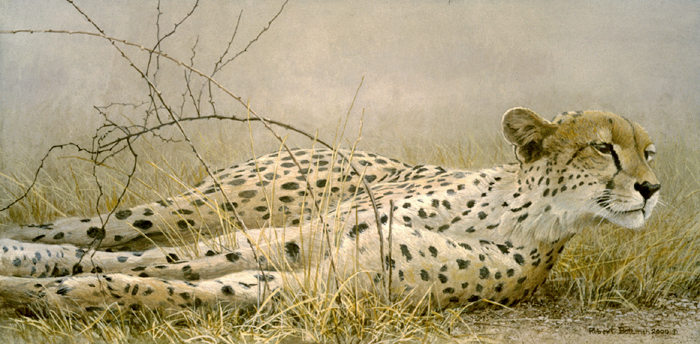 (c) Robert Bateman