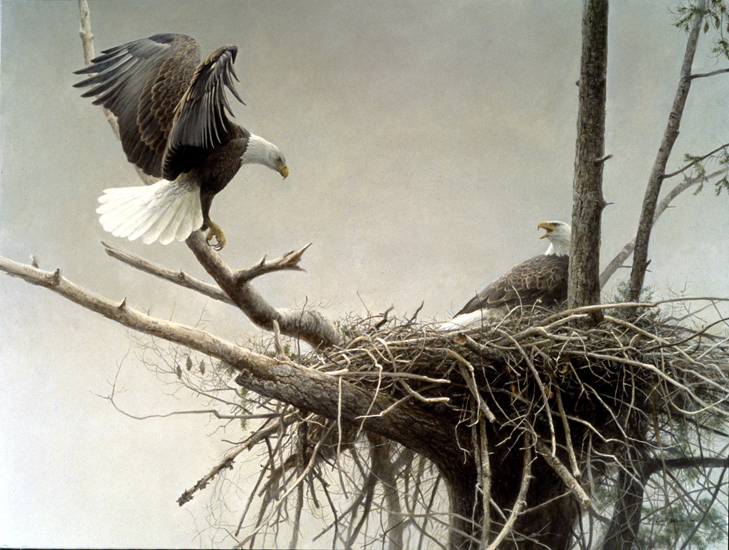 eagle paintings