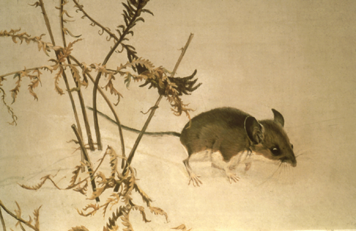 (c) Robert Bateman